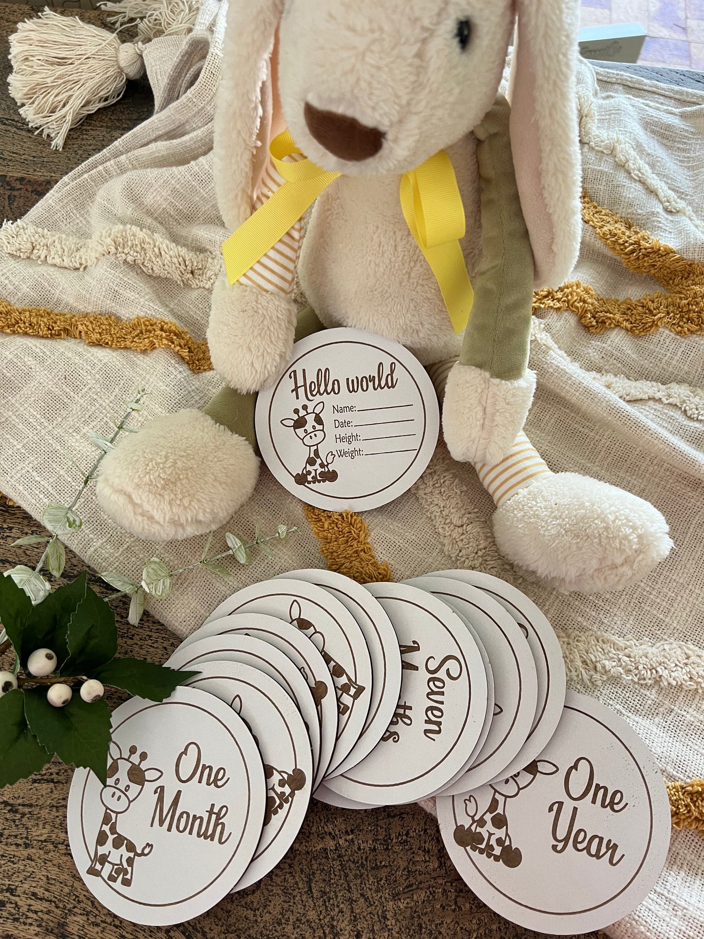 Baby Milestone Discs